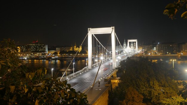 Photo illuminated elisabeth bridge over river danube against clear sky at night
