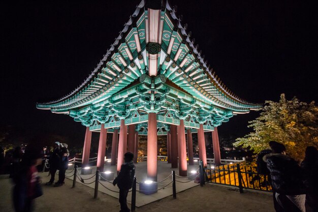 写真 夜の空に照らされた建物のフェリスホイール