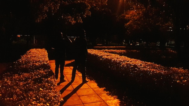 Foto sentiero illuminato di notte