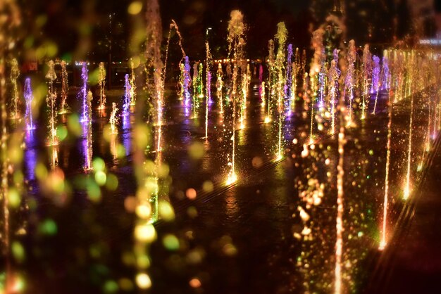 写真 夜に照らされた噴水