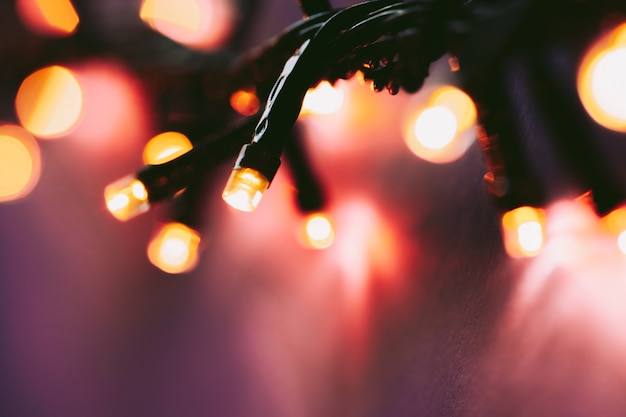 Illuminated garland lights on bright pink background