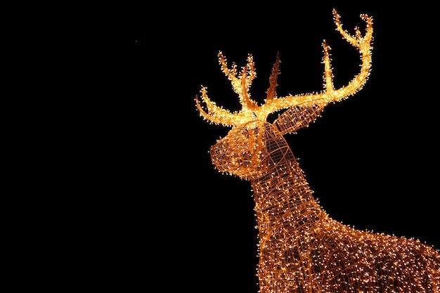 Illuminated LED String Gold Giant Reindeer of Outdoor Christmas Decoration Against Night Sky