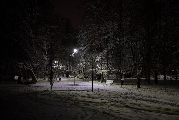 Premium Photo | Illuminated public park at night. pathway through the ...