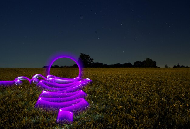 Illuminated purple flowers on field against sky at night