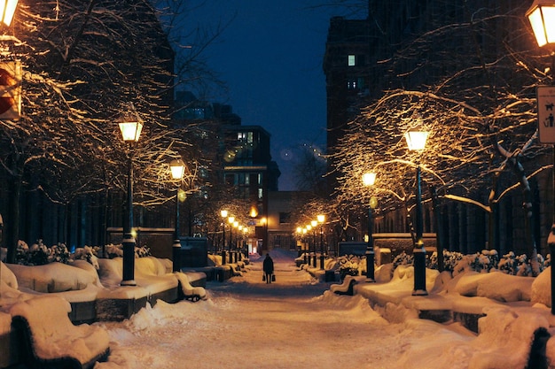 夜に照らされた雪に覆われた歩道