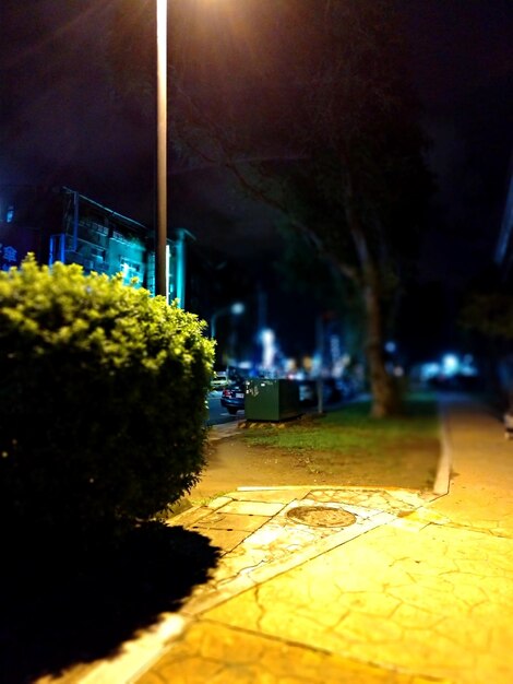 Illuminated street by trees in city at night