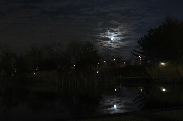 Foto luce stradale illuminata di notte