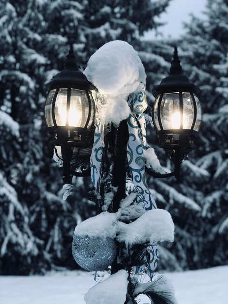Illuminated street light on snow covered trees