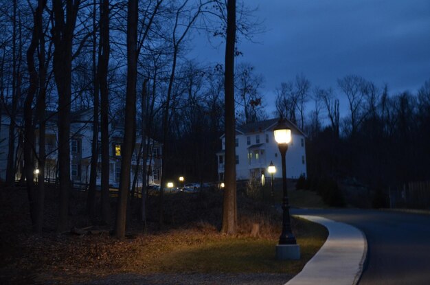 Фото Освещенные уличные фонари на обочине дороги