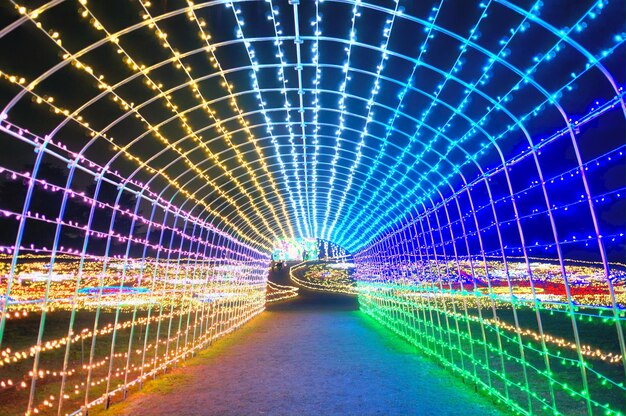 Photo illuminated street lights at night