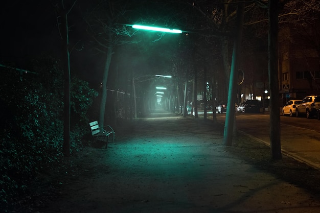밤 에 조명 된 거리