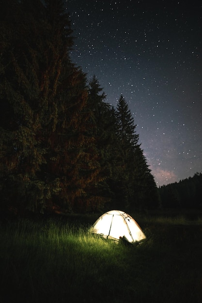 Illuminated tent in the wilderness forest against sky at night