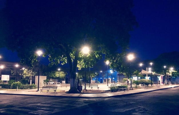 Illuminated trees against sky at night
