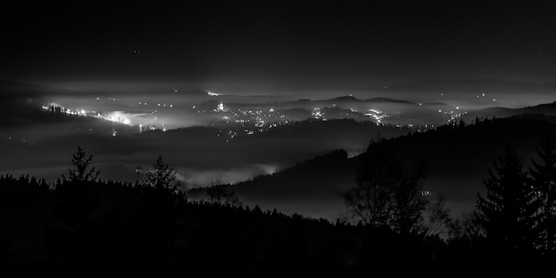 Foto alberi illuminati nella foresta contro il cielo notturno