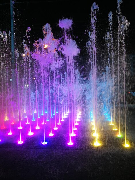 Illuminated trees at night