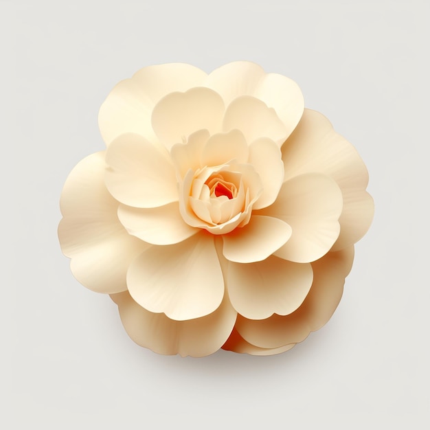 illustratie van Begonia bloem effen achtergrond crème toon Macaron