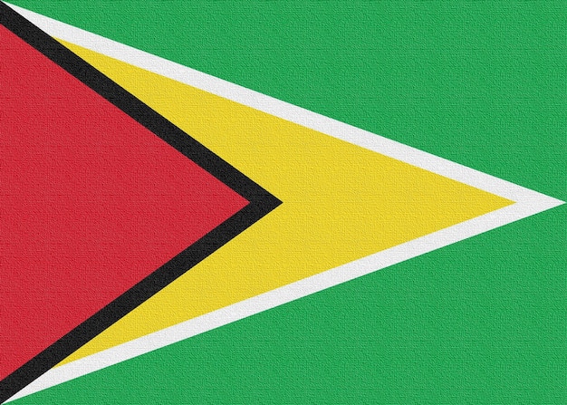 Illustratie van de nationale vlag van Guyana