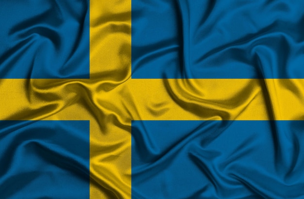 Illustratie van de vlag van Zweden