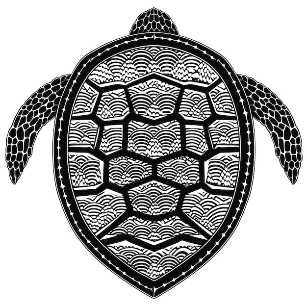 illustratie van een schildpad