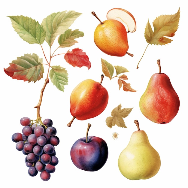 さまざまな形や品種の秋の果物のイラスト