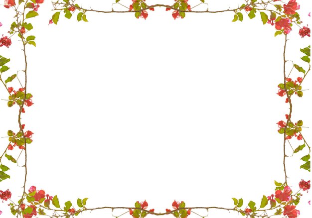 illustration of autumn leaves frame