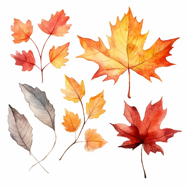 Иллюстрация осенних листьев в стиле акварельной векторной графики
