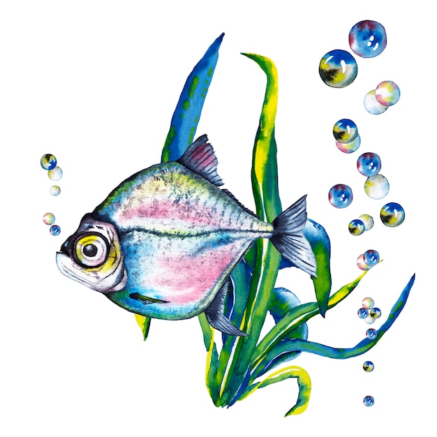 Illustration of big-eyed  blue-pink fish in sea kale and air bubbles. Watercolor illustration.