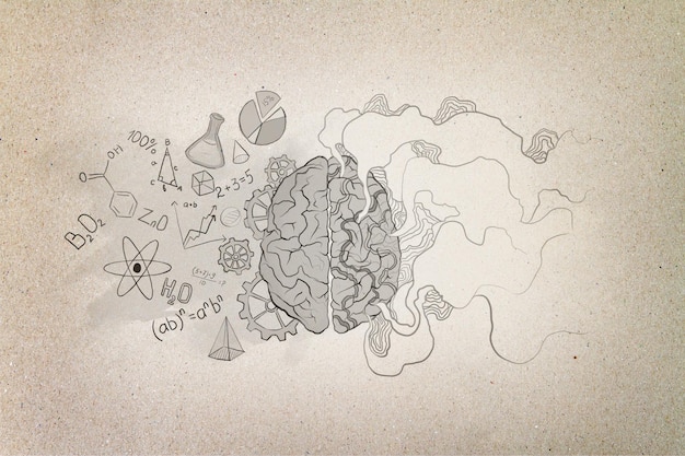 Illustration of brain parts mathematical formulas and abstract wavy lines on the right side on brown kraft paper