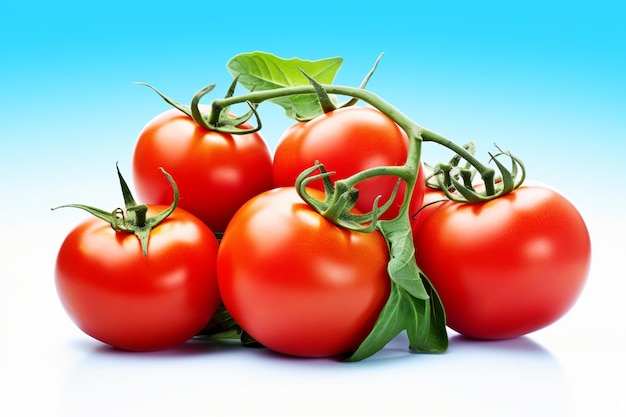 Illustration of a bunch of tomatoes with a blue background