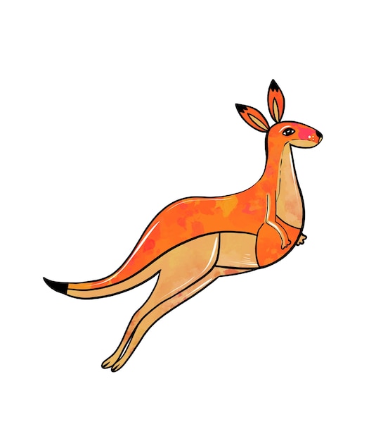 Illustration of a colored drawing of kangaroo jumping orange on white isolated background high