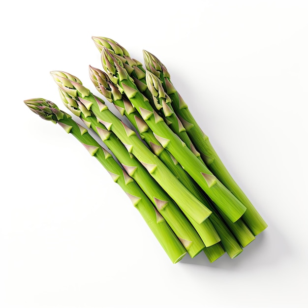 illustration dynamic pose of isolated fresh asparagus