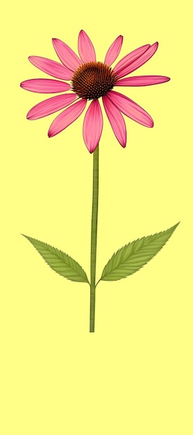 Illustration of Echinacea purpurea generative ai A classic North American prairie plant