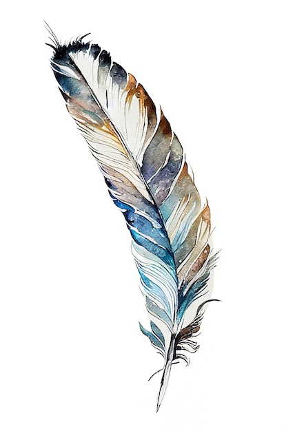 Illustration of Feathers in Watercolor Painting Style