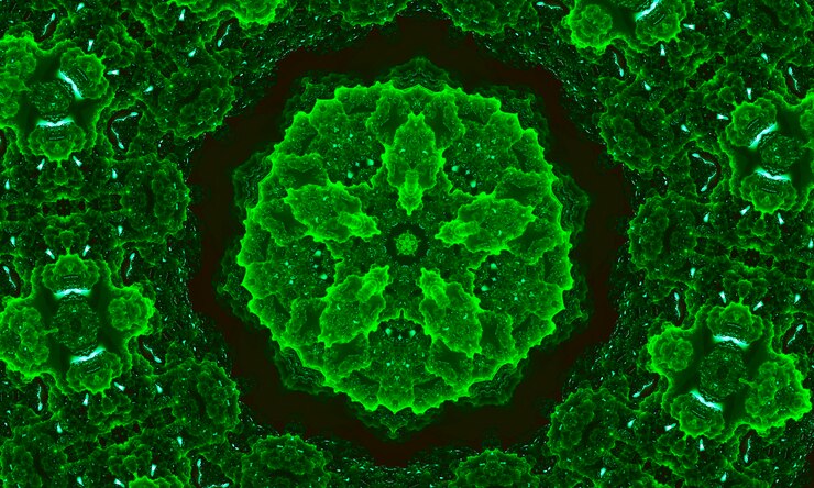 Photo illustration fisheye green abstract kaleidoscope background. multicolor geometric kaleidoscope backdrop. colorful kaleidoscope texture. decorative kaleidoscopic ornament. colorful ornament background.