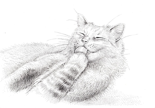 Photo illustration of a fluffy white cat licking its paw monochrome image funny animals