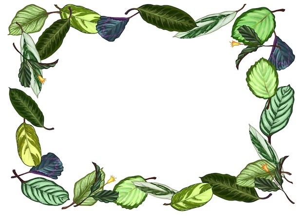 Illustration of indoor plants with various leaves stands and other decor