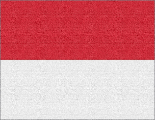 Illustration of the national flag of Monaco