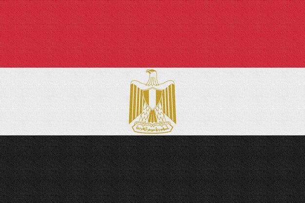 사진 이집트의 국기의 그림