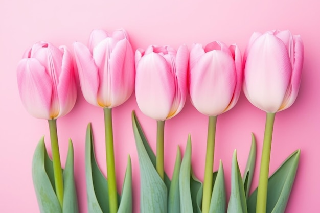 Illustration of Pink tulips on a soft pink background