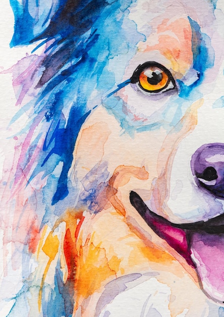 illustration portrait of australian shepherd cute dog isolated on white background watercolor dog faces colorfull dog portrait isolated on white background dog paint splash icons