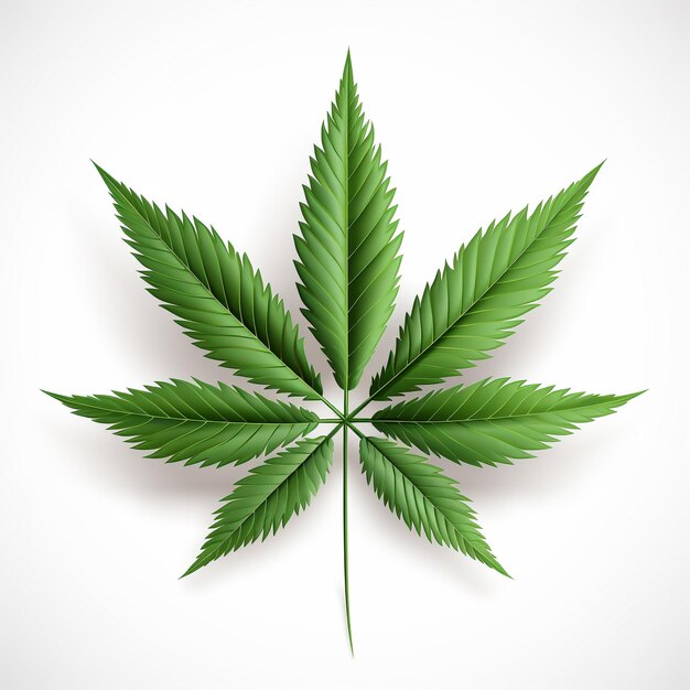 Photo illustration of a realistic sevenleaf marijuana