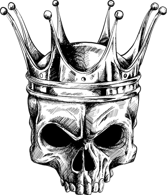 Photo illustration skull in crown with beard isolated on white background