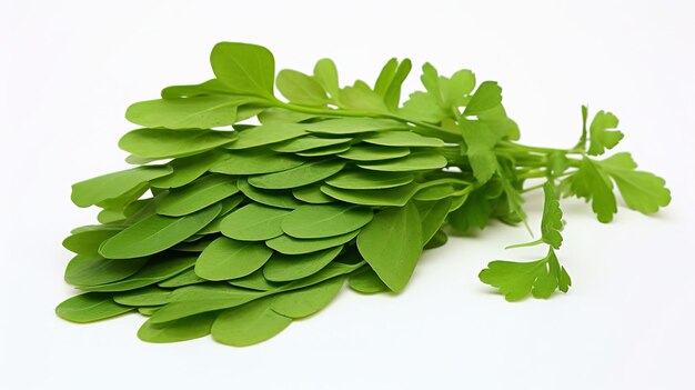 Photo illustration of sliced moringa oleifera or sonjna with leaves white bg generative ai