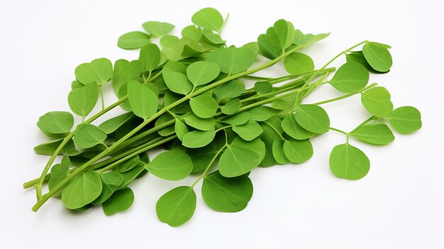 Photo illustration of sliced moringa oleifera or sonjna with leaves white bg generative ai