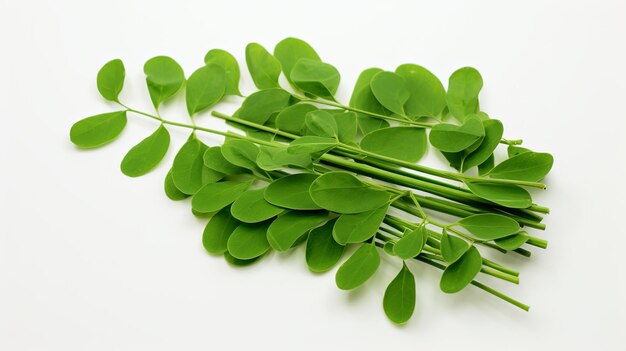 Photo illustration of sliced moringa oleifera or sonjna with leaves white bg generative ai