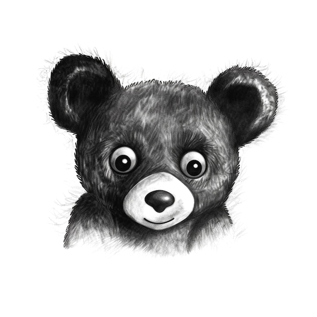 illustration of teddy bear