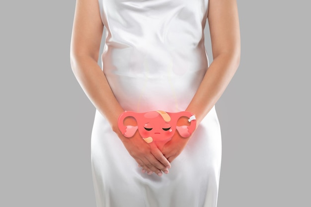 자궁의 삽화는 여성의 몸에 있고, 회색 배경에 여성 해부학 개념