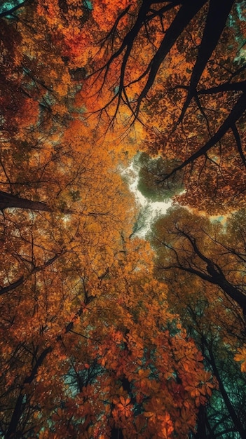 An illustration of a view of a forest from below