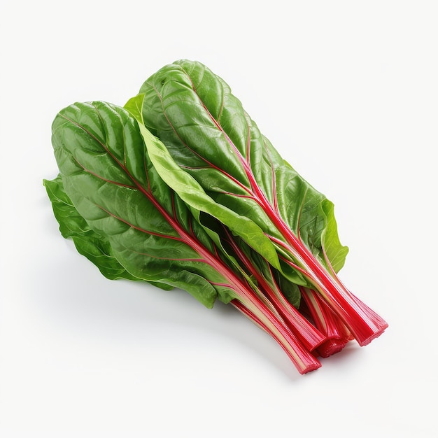 illustration white enviro swiss chard