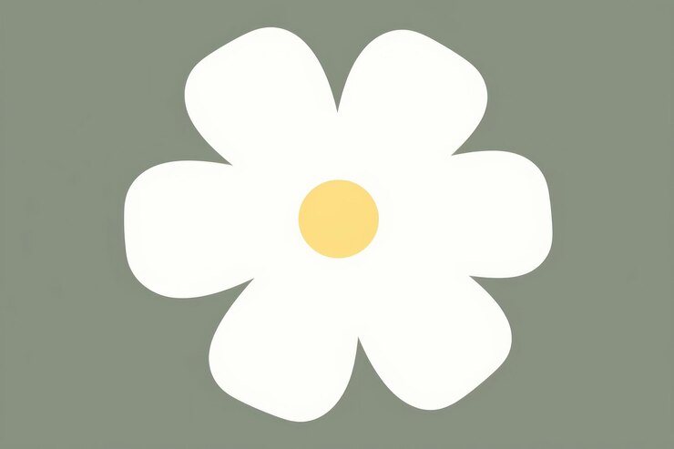 Photo illustration of white flower petal daisy plant